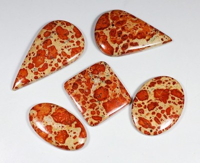 268 Ct Natural Bulk Lot Orbicular Asteroid Jasper Oval Cabochon Gemstone KJ-98