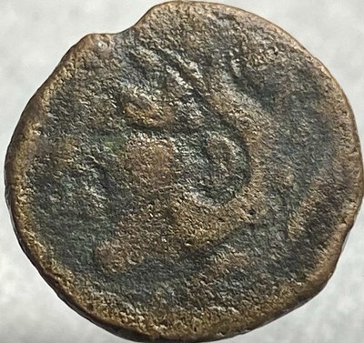 Head of Hercules 100BC-20BC Coin Melkart 2 Tuna Fish City of Gadir Gades As