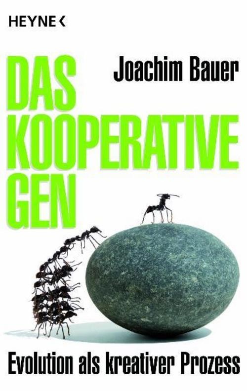 Heyne Taschenbuch Das Kooperative Gen - Bild 3