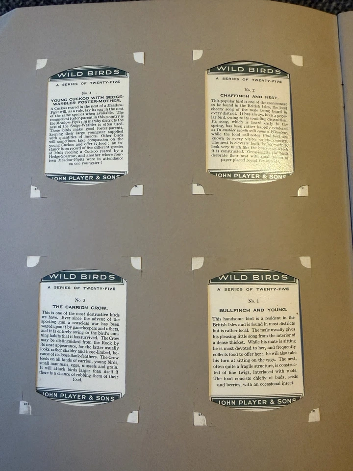 Player’s Wild Birds (1934) Full Set L25 Cigarette Cards In Album - VG+ Excellent - Image 3 of 4
