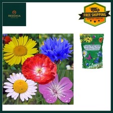 Wildflower & Meadow Grass Seed Mix 1kg - Garden Bulk Pack 53.99 per kilo
