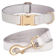 Gray Size S PU Leather Dog Collar 5FT Leash Set Metal Buckle Fits 914 Inch