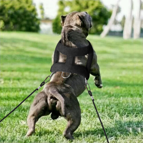 Dog Weight Pulling Harness for Pitbulls Training Adjustable Medium Large Vest - Picture 8 of 13
