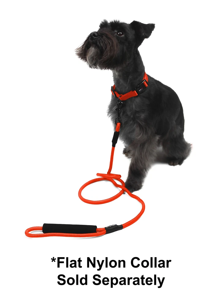 Round Nylon Pet Dog Puppy Lead Leash 6 ft / 11 colors - Image 3 of 4