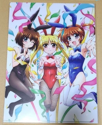 Magical Girl Lyrical Nanoha Fate Yagami Hayate Clear File Bunny