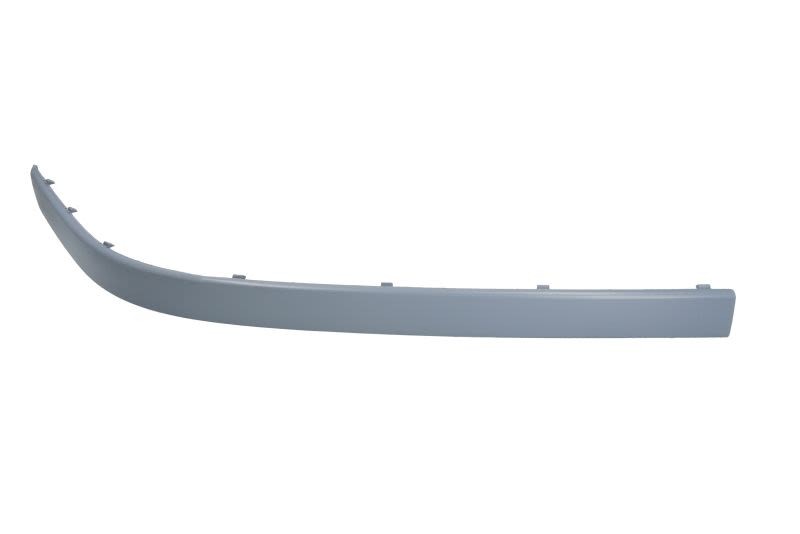 Front Right Bumper Trim Strip For: BMW 5 E39 09.00-06.03