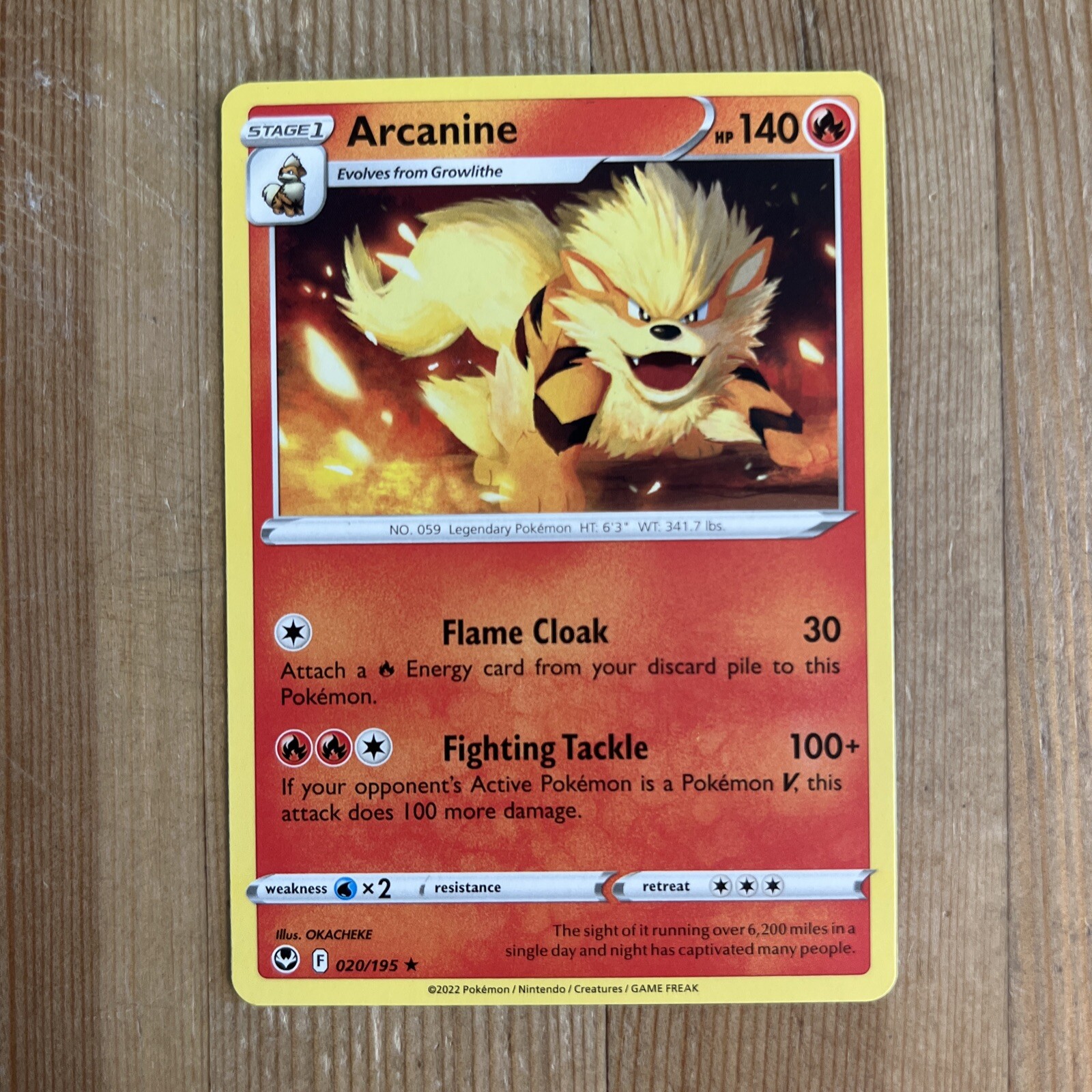 Arcanine