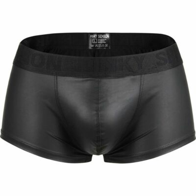 81-024 Herren Wetlook Master Boxer Pants Slip Leder SCHWARZ matt glänzend S-2XL