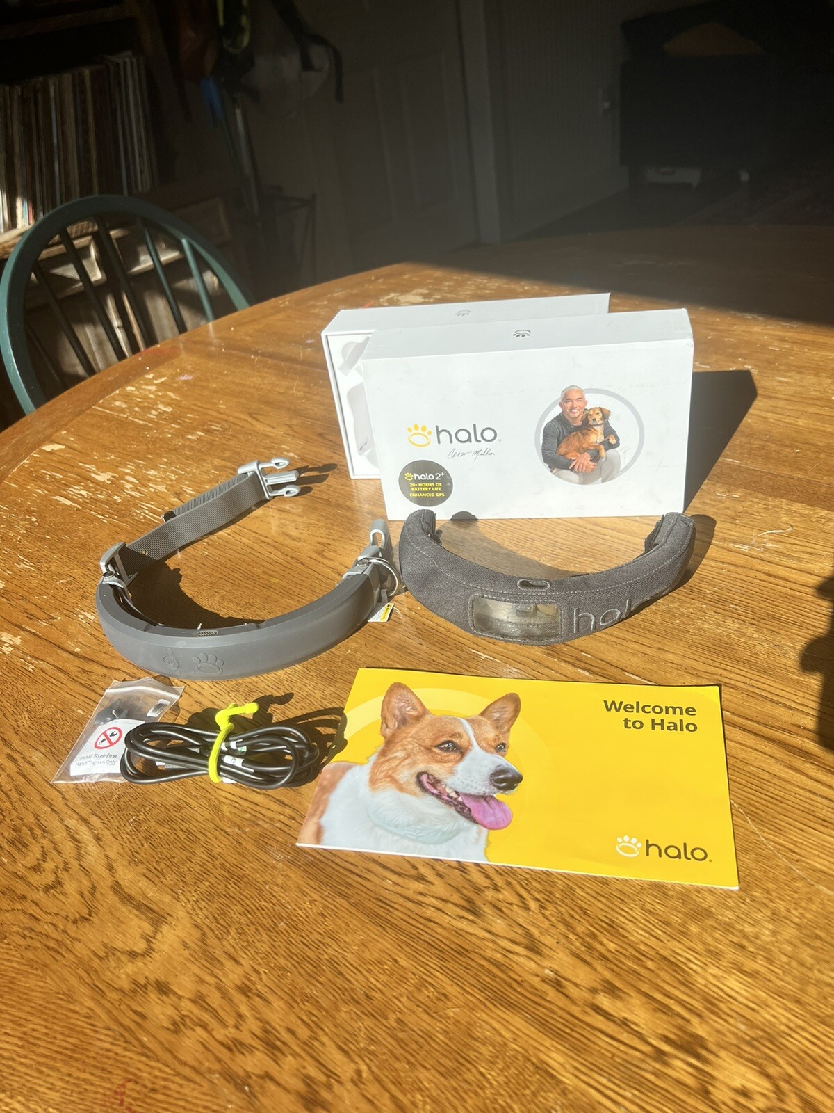 Halo 2 Cesar Millan Wireless GPS Dog Fence Collar Size MEDIUM Graphite