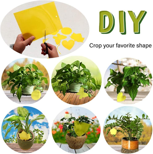 50Pezzi Adesivi Gialli, Fly Paper Stickers, Sticky Fly Catchers Dual-Side Trappo - Foto 2 di 12