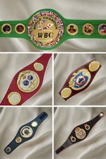 Set of All 05 Boxing Championship Title Belts IBF,IBO,WBA,WBC,WBO  Adult Size 3D