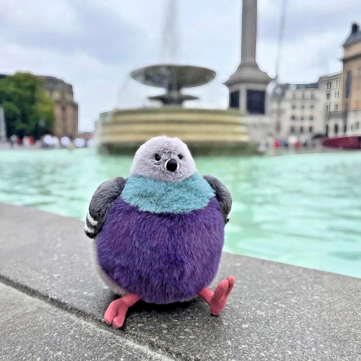 Leicester Pigeon - London selfridges exclusive | Limited ReleaseH