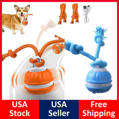 Peppy Pet Ball Interactive Dog Toys Moving Dog Ball Rolling Ball Squeaky DogBall