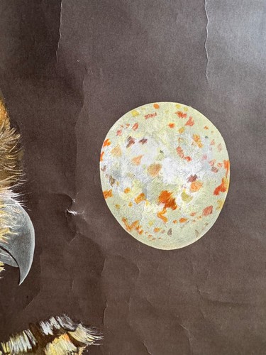 Vintage RAUBVÖGEL Schulkarte von Jung Koch Quentell. Raptors Leinen Poster - Bild 11 von 19
