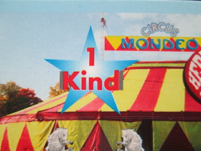 2 Mondeo Circus Eintrittskarten Parkett (1x Erwachsener / 1x Kind) - Bild 3 von 4