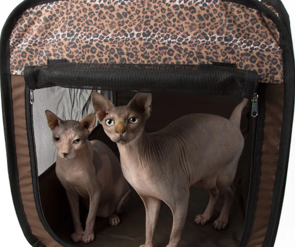 Parque infantil para gatos cachorros | Tienda emergente para gatos | Parque infantil para mascotas | Casa para mascotas | Interior exterior Foto 3 de 4