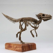 Pachycephalosaurus Skeleton Dinosaur Statue Animal Model Collectible Display