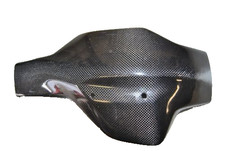 PROTEZIONE FORCELLONE CARBONIO 100% DUCATI MULTISTRADA 1000 / 1100 DS