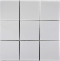 Mosaik Fliese Keramik Weiß Fliesenspiegel KüChe Weiß GläNzend WB23-0101|1 Matte