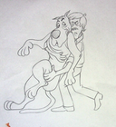 Bild 2 von 2