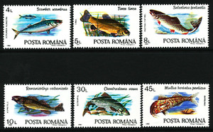 Romania 1992-96 #3728-3733, 3900-3905, 4025-4030, 4121-4126 MNH Nice collection
