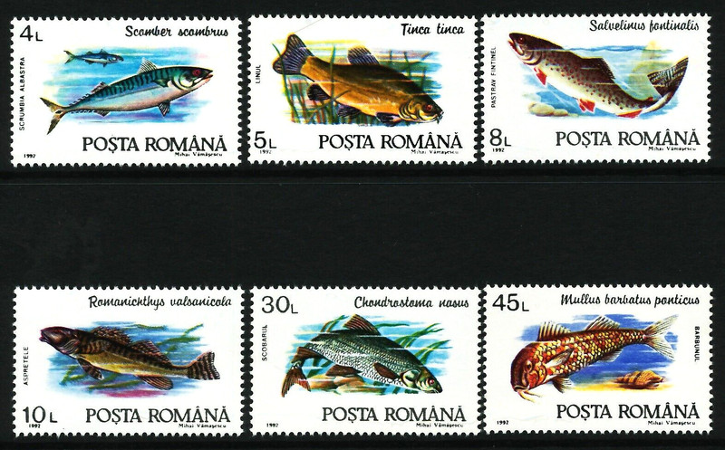 Romania 1992-96 #3728-3733, 3900-3905, 4025-4030, 4121-4126 MNH Nice collection