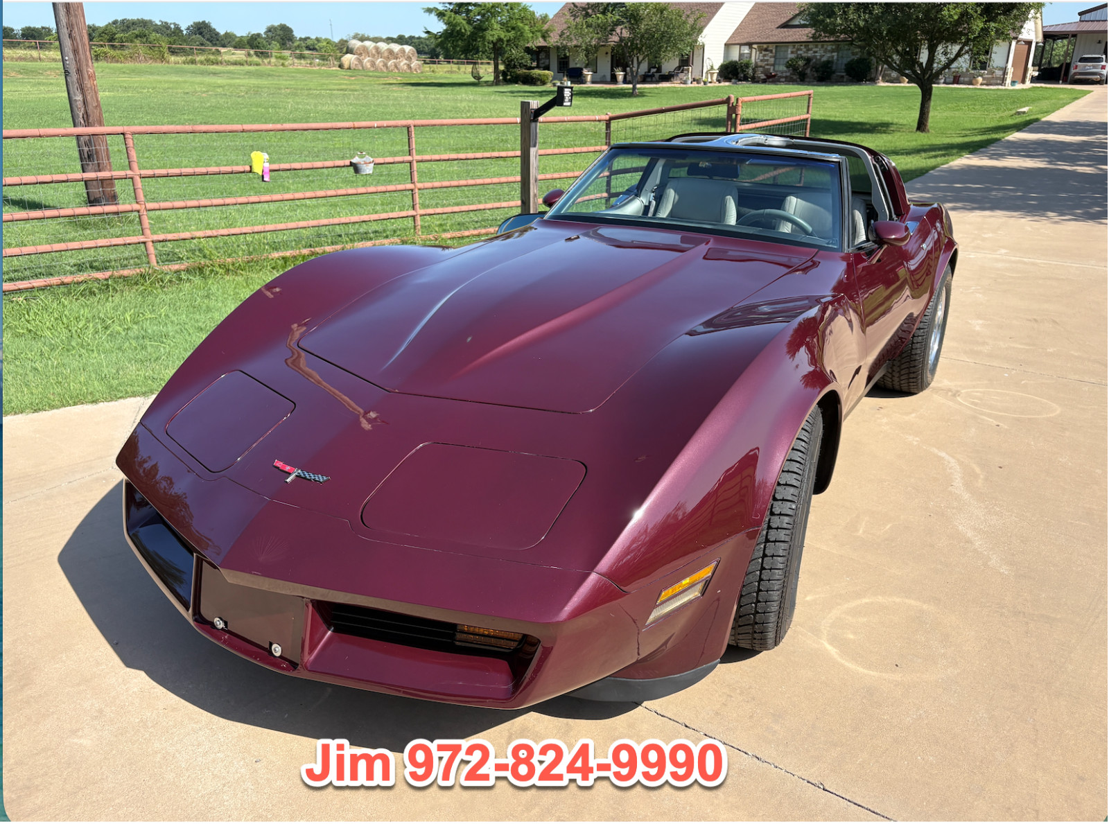 1981 Burgundy Chevrolet Corvette   | C3 Corvette Photo 5