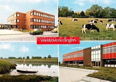 Westoverledingen Town Hall Lot at the Ems Cattle in the Pasture School