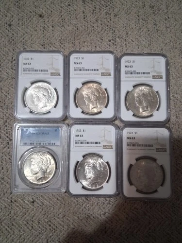 6 Slabs Total- 2- MS63 1922 Peace NGC/PCGS. 4- 1923 MS63 NGC Slabs