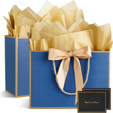 Gift Bags for Present, 2 Pcs Medium Gift Bags for Women with Tissue Paper and Ca