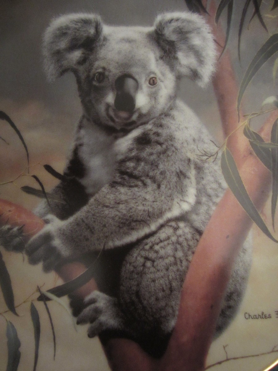 激レア Burberrys 90's koala コアラリュック ブローチ 美品 KOALA collector plate CHARLES FRACE Nature's Lovables KOALA BEAR
