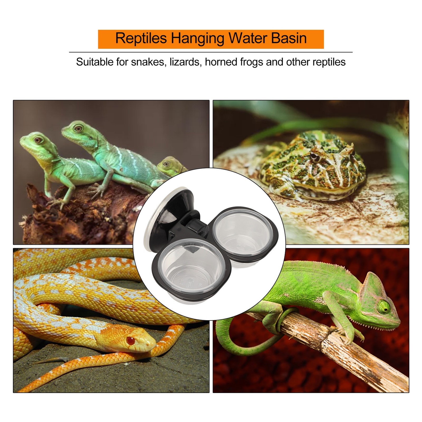 Reptile Food Water Feeding Bowl Multipurpose Dual Fixed Reptiles Hanging Water