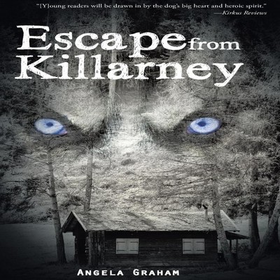Escape from Killarney Angela Graham Hardcover Author Solutions In