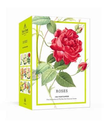 Roses | 100 Postcards from the Archives of The New York Botanical Garden | The