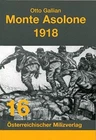 Monte Asolone 1918 von Otto Gallian