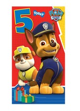 paw patrol age 2