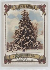 2021 Topps Allen & Ginter's Arboreal Appreciation White Spruce #AA-4 1i3m