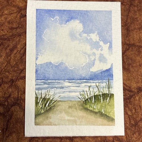 ACEO Original Art Card  Watercolor/Ink signed by Alycia Neighbours “Water’s Fine