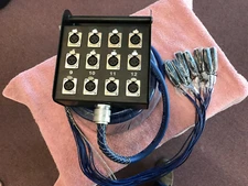 Audio 2000s 12-Channel Snake (NEW)