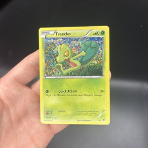 Pokemon Treecko Card | eBay