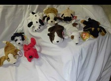 Ty The Beanie Babies Collection Spunky Dog Plush Toy