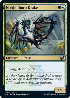 Needlethorn Drake - 208 - NM Foil Strixhaven: School of Mages (STX)
