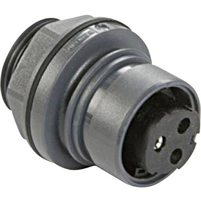 Bulgin PXP6012/02P/CR Rundsteckverbinder Stecker, Einbau Gesamtpolzahl: 2 Serie