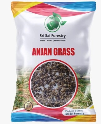Buffel Grass (Anjan) Multi Cut Fodder Grass for Cattle 100 gram