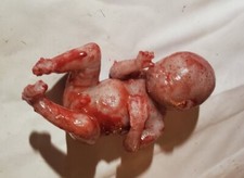 Horror movie prop silicone fetus human baby g...