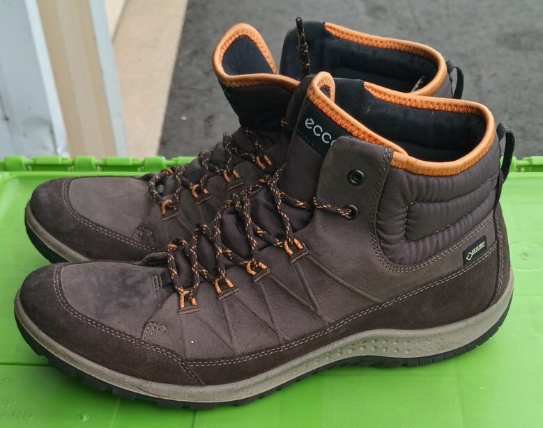 Ecco Aspina GTX high top women