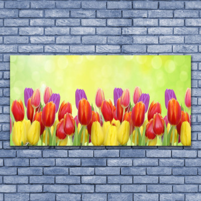 mpresson sur verre acrylque mage tableau 125x50 Floral Tulpes | eBay