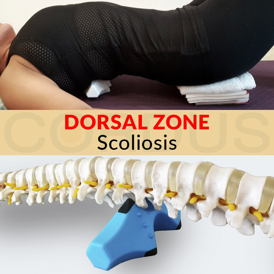 KIT CORDUS/ SACRUS for back pain, Extended English manual, Satisfaction GTEE - Picture 8 of 12