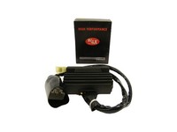 Regler Gleichrichter RGU-155 FüR Honda CB 900 F CB900 Hornet Baujahr 2002-2006