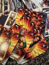 Lot of 60 Random All  WWE Divas Women Wrestling Trading Cards Free Shipping